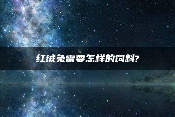 红绒兔需要怎样的饲料?