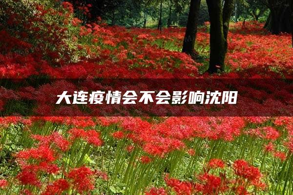 大连疫情会不会影响沈阳