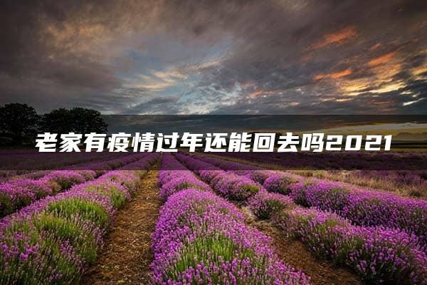 老家有疫情过年还能回去吗2021