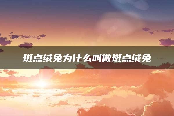 斑点绒兔为什么叫做斑点绒兔