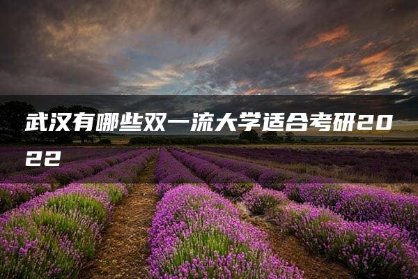 武汉有哪些双一流大学适合考研2022