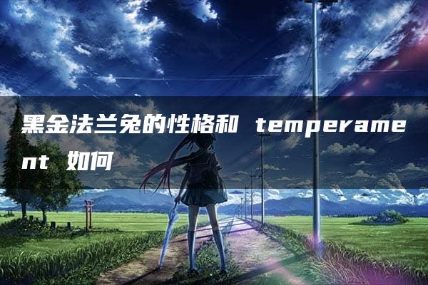 黑金法兰兔的性格和 temperament 如何