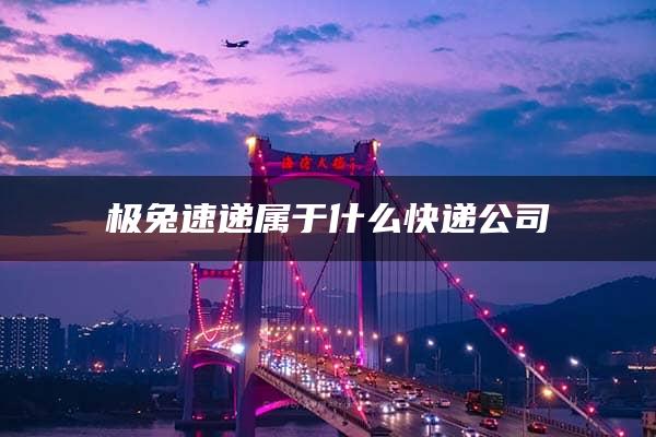 极兔速递属于什么快递公司