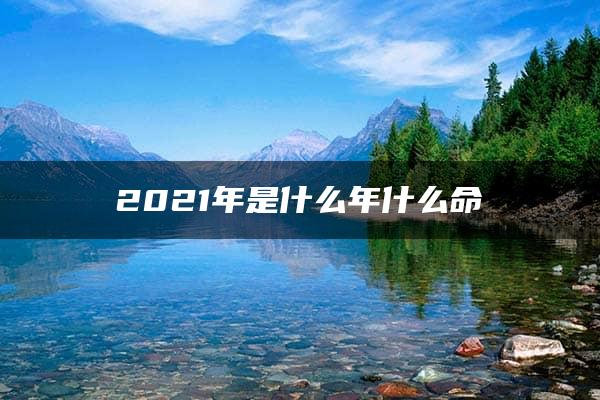 2021年是什么年什么命