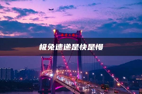 极兔速递是快是慢