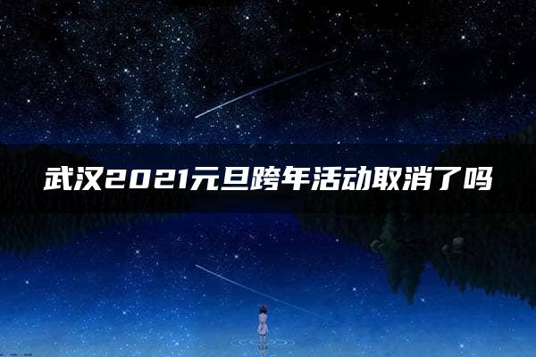 武汉2021元旦跨年活动取消了吗