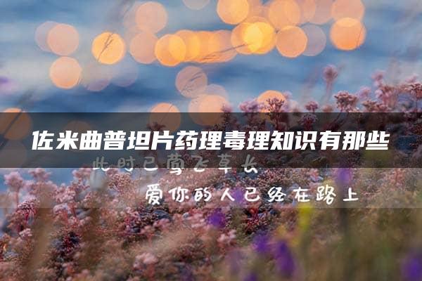 佐米曲普坦片药理毒理知识有那些