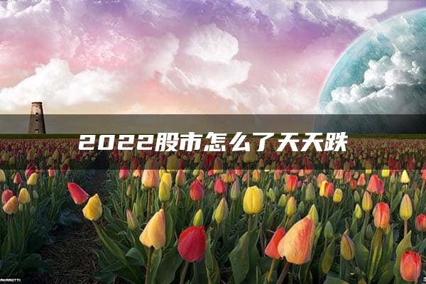 2022股市怎么了天天跌