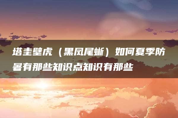 塔圭壁虎（黑凤尾蜥）如何夏季防暑有那些知识点知识有那些