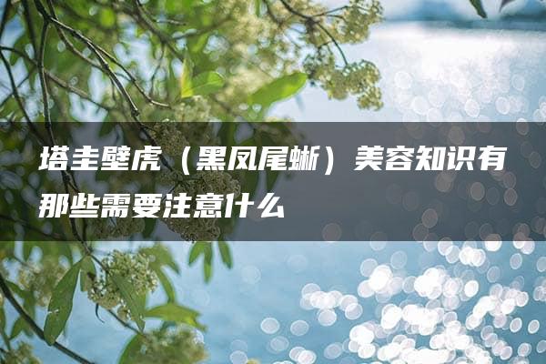 塔圭壁虎（黑凤尾蜥）美容知识有那些需要注意什么