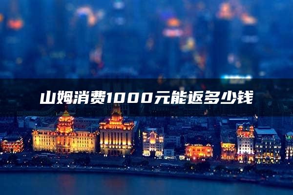 山姆消费1000元能返多少钱