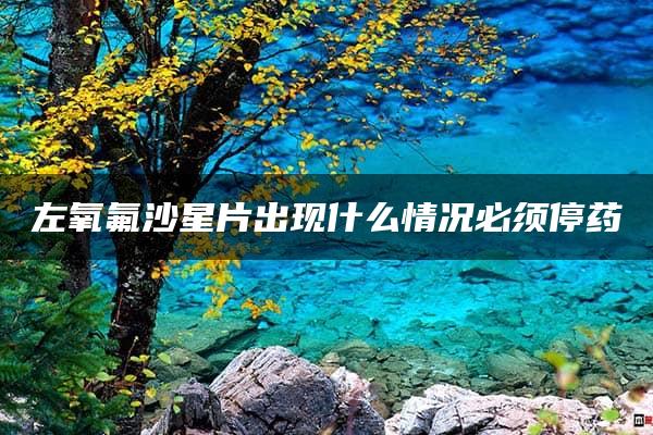 左氧氟沙星片出现什么情况必须停药