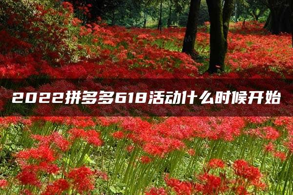 2022拼多多618活动什么时候开始