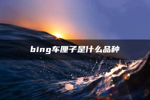 bing车厘子是什么品种