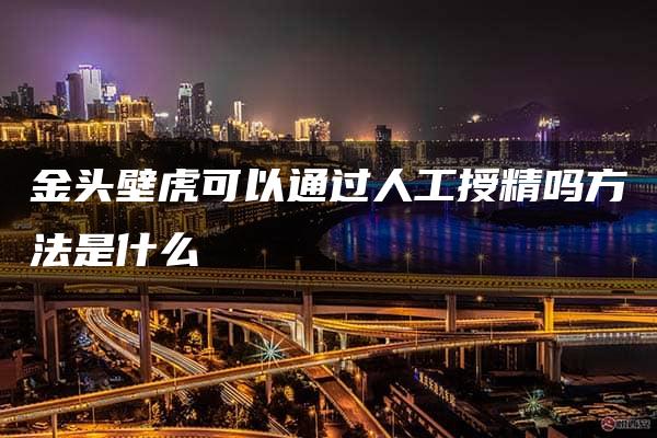 金头壁虎可以通过人工授精吗方法是什么