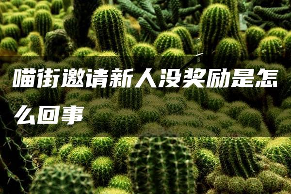 喵街邀请新人没奖励是怎么回事