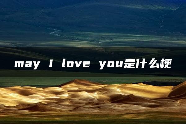 may i love you是什么梗