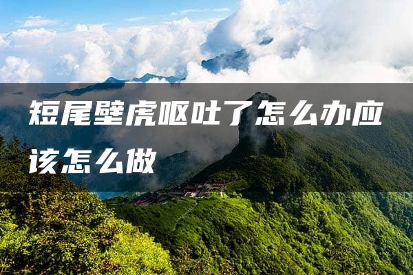 短尾壁虎呕吐了怎么办应该怎么做