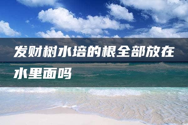 发财树水培的根全部放在水里面吗