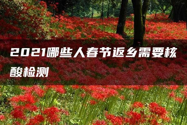 2021哪些人春节返乡需要核酸检测