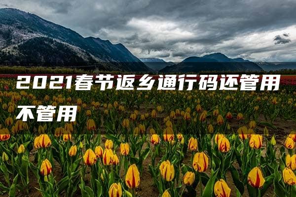 2021春节返乡通行码还管用不管用