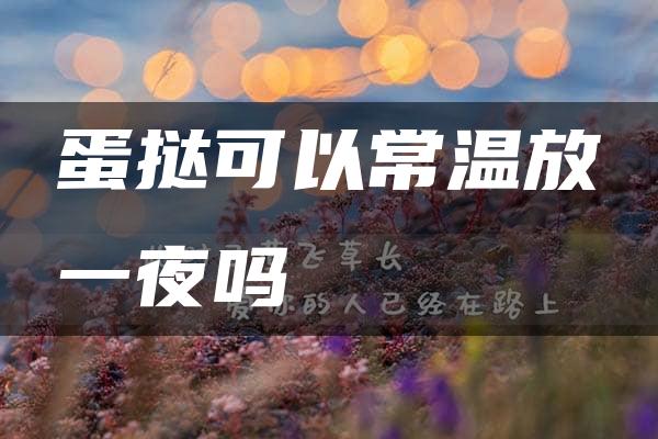 蛋挞可以常温放一夜吗