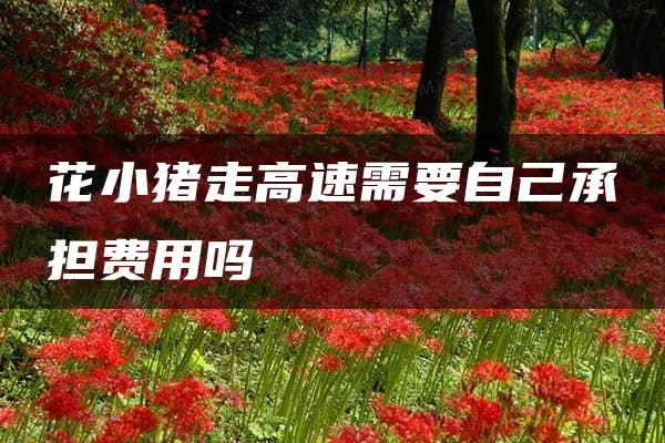 花小猪走高速需要自己承担费用吗