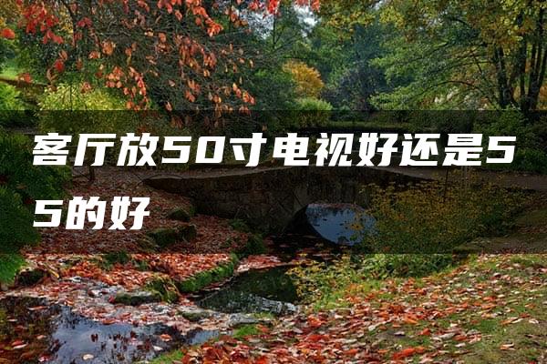 客厅放50寸电视好还是55的好