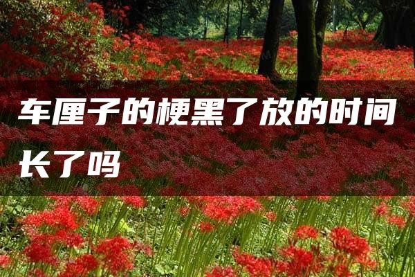 车厘子的梗黑了放的时间长了吗