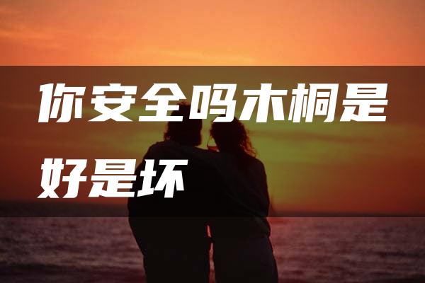 你安全吗木桐是好是坏