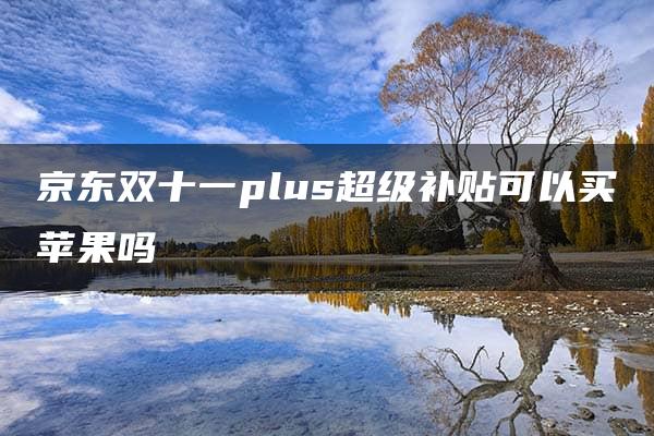 京东双十一plus超级补贴可以买苹果吗