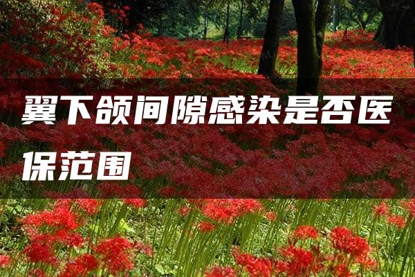 翼下颌间隙感染是否医保范围