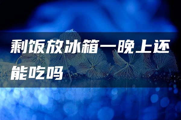 剩饭放冰箱一晚上还能吃吗