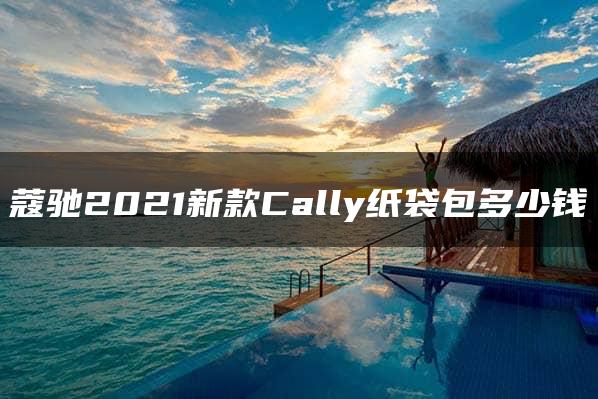 蔻驰2021新款Cally纸袋包多少钱