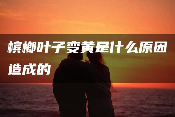 槟榔叶子变黄是什么原因造成的