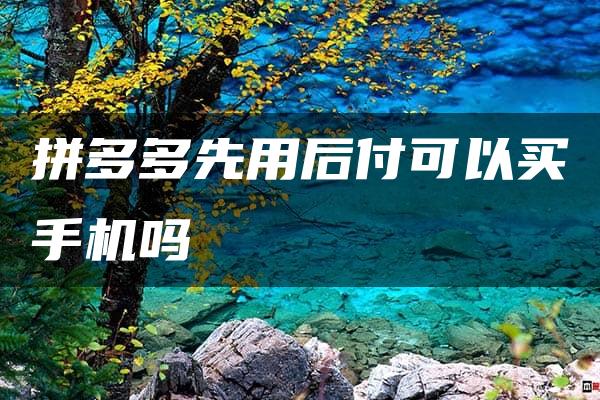 拼多多先用后付可以买手机吗