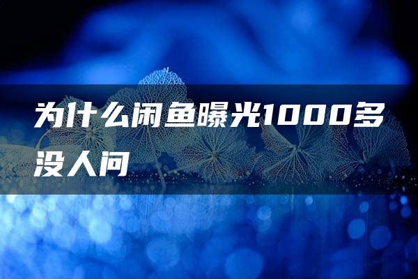 为什么闲鱼曝光1000多没人问