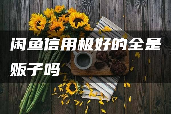 闲鱼信用极好的全是贩子吗