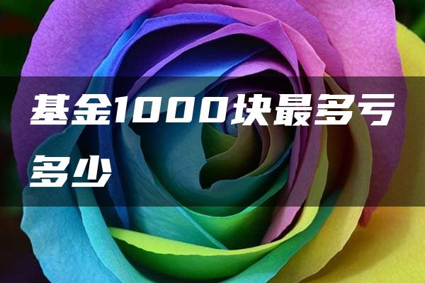 基金1000块最多亏多少