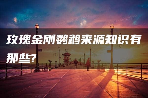 玫瑰金刚鹦鹉来源知识有那些?