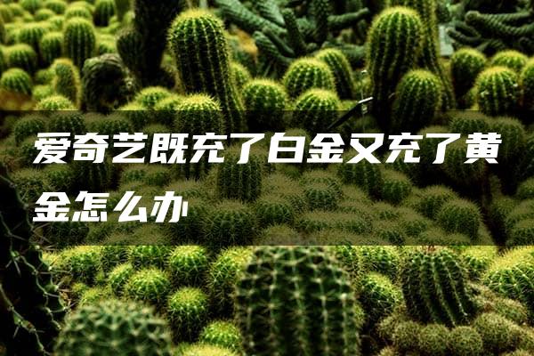 爱奇艺既充了白金又充了黄金怎么办