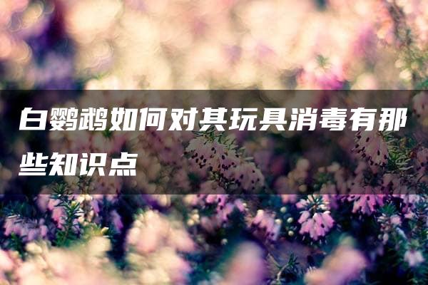 白鹦鹉如何对其玩具消毒有那些知识点