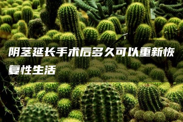 阴茎延长手术后多久可以重新恢复性生活