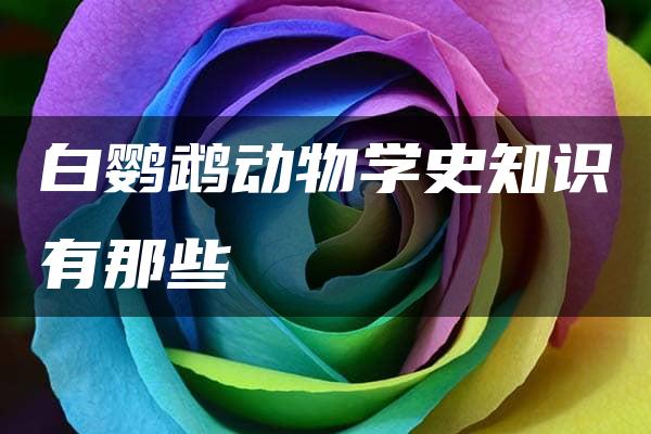 白鹦鹉动物学史知识有那些