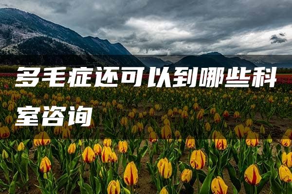 多毛症还可以到哪些科室咨询