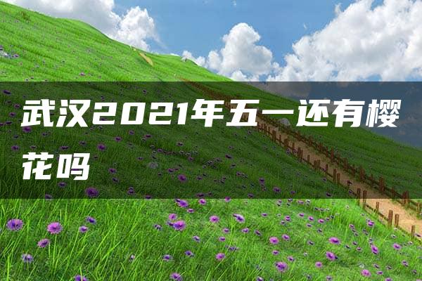 武汉2021年五一还有樱花吗