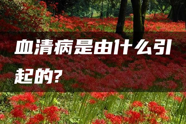 血清病是由什么引起的?