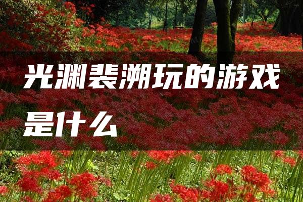 光渊裴溯玩的游戏是什么