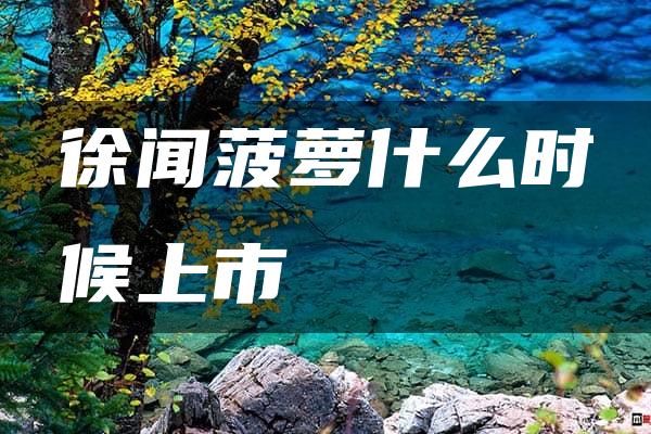 徐闻菠萝什么时候上市