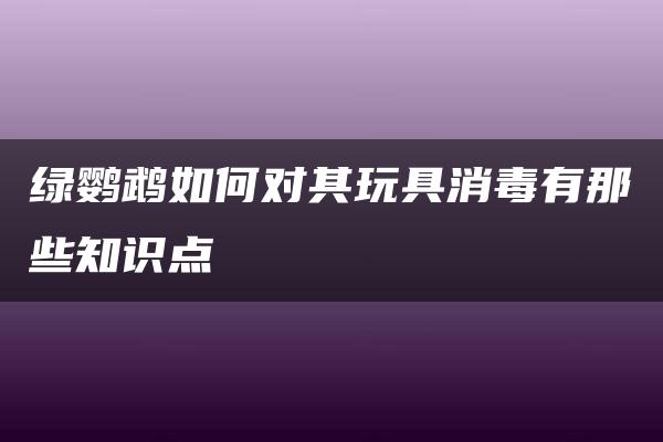 绿鹦鹉如何对其玩具消毒有那些知识点